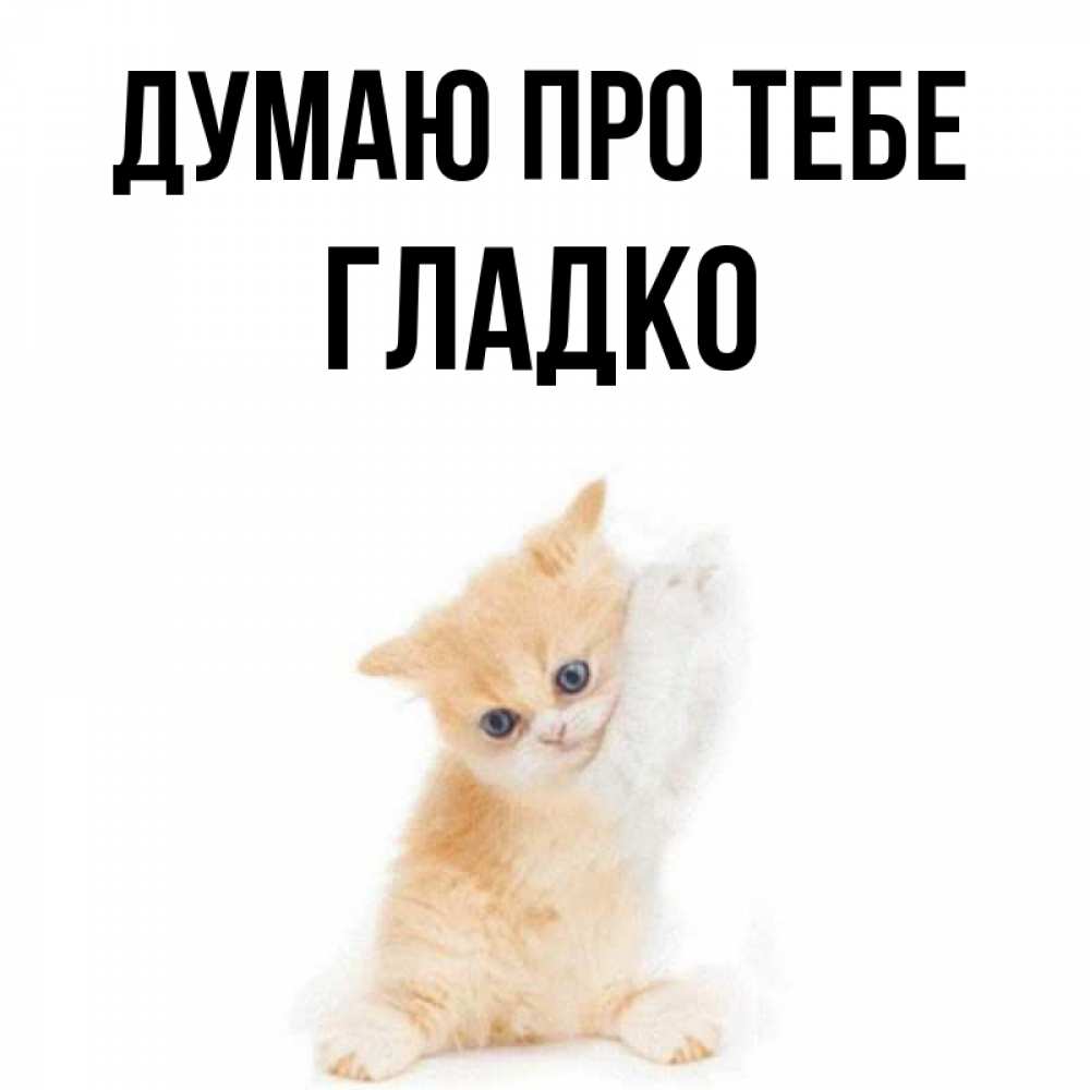 Открытка на каждый день з підписом, Гладко Думаю про тебе зверушки и милота Прикольна листівка з побажанням онлайн скачати безкоштовно 
