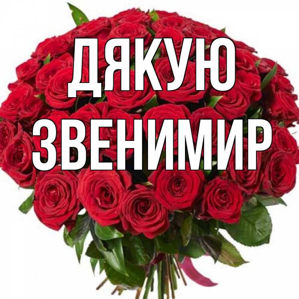 Открытка на каждый день з підписом, Звенимир Дякую букет красных роз Прикольна листівка з побажанням онлайн скачати безкоштовно 