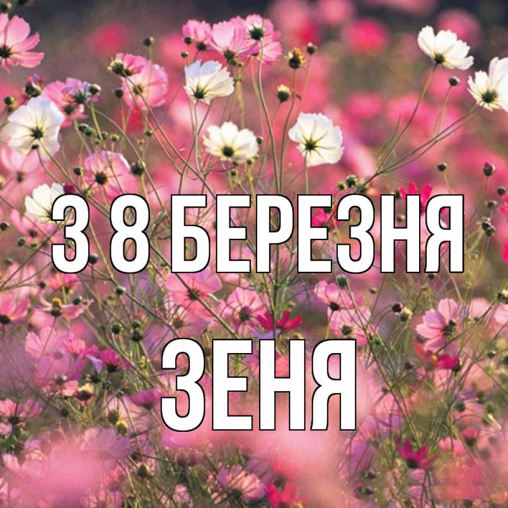 Открытка на каждый день з підписом, Зеня З 8 БЕРЕЗНЯ красиво 1 Прикольна листівка з побажанням онлайн скачати безкоштовно 