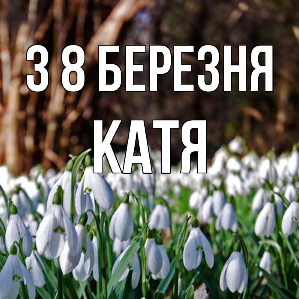 Открытка на каждый день з підписом, Катя З 8 БЕРЕЗНЯ с подснежниками 1 Прикольна листівка з побажанням онлайн скачати безкоштовно 