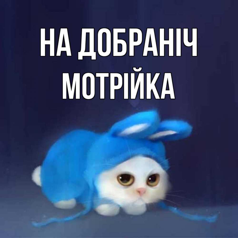 Открытка на каждый день з підписом, Мотрійка На добраніч кот в голубом костюме кролика с ушками Прикольна листівка з побажанням онлайн скачати безкоштовно 
