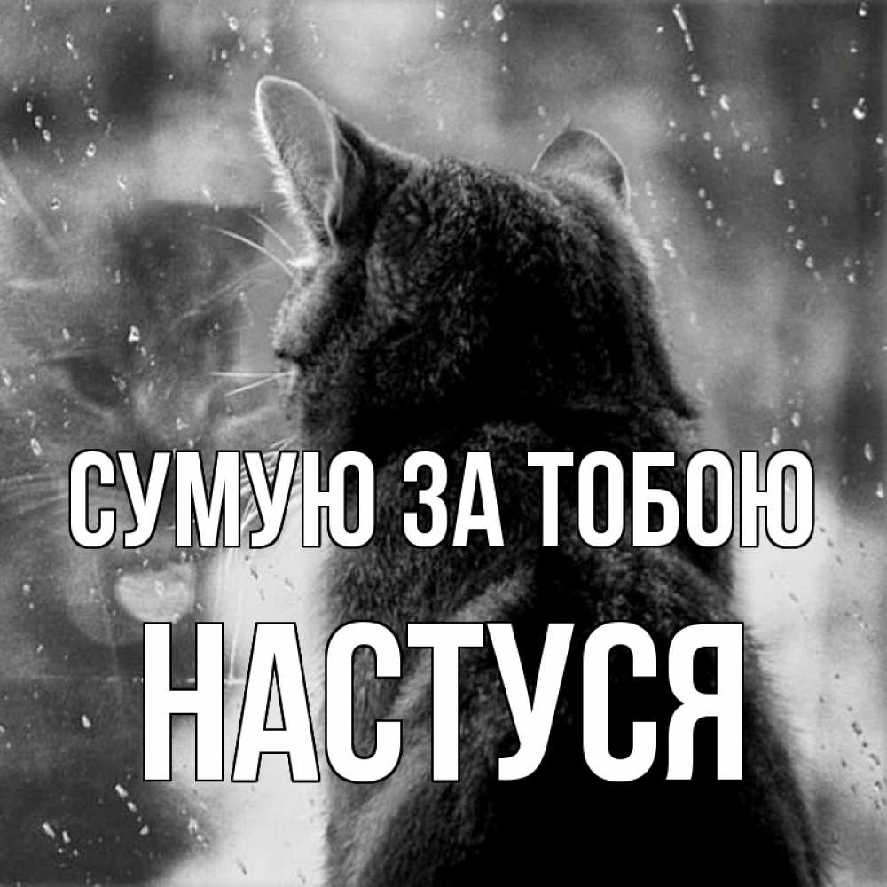 Открытка на каждый день з підписом, Настуся Сумую за тобою скорее ко мне приходи 1 Прикольна листівка з побажанням онлайн скачати безкоштовно 