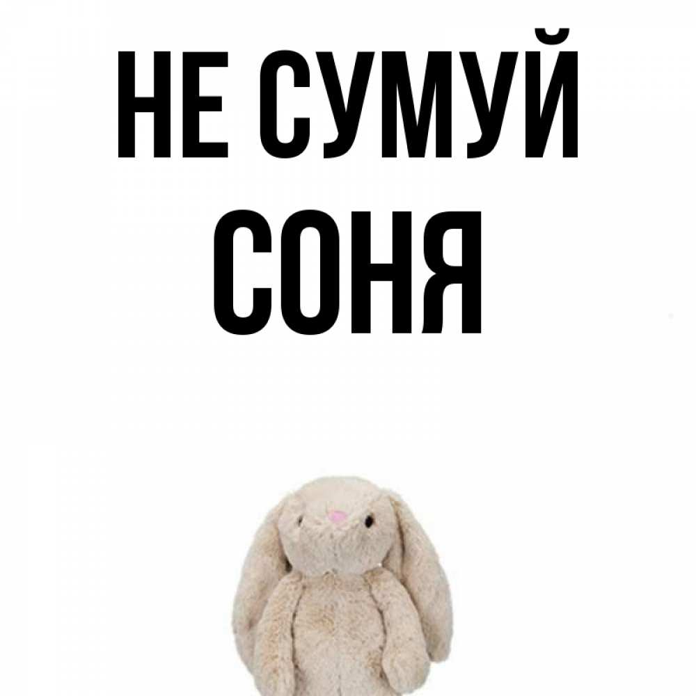 Открытка на каждый день з підписом, Соня Не сумуй детская игрушка зайчика Прикольна листівка з побажанням онлайн скачати безкоштовно 