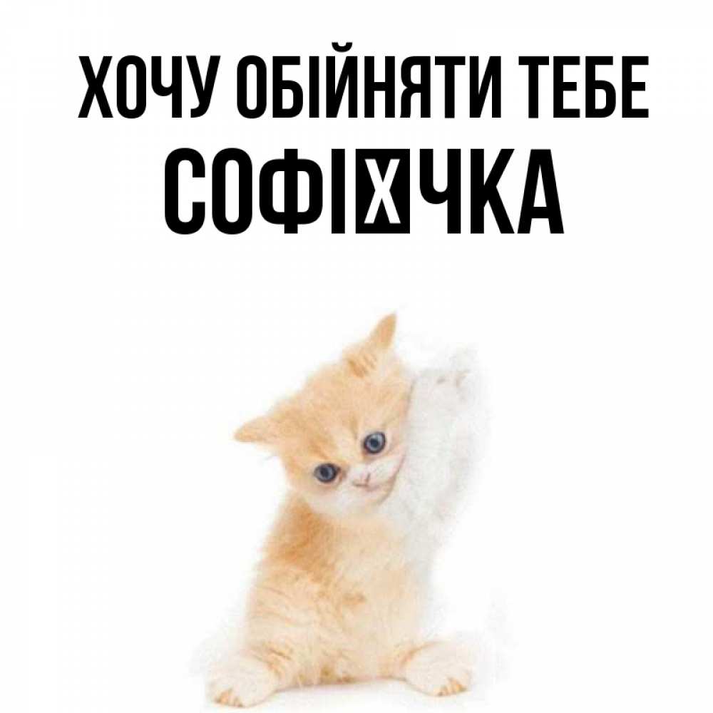Открытка на каждый день з підписом, Софієчка Хочу обійняти тебе я хочу очень скорее обнимаешек Прикольна листівка з побажанням онлайн скачати безкоштовно 