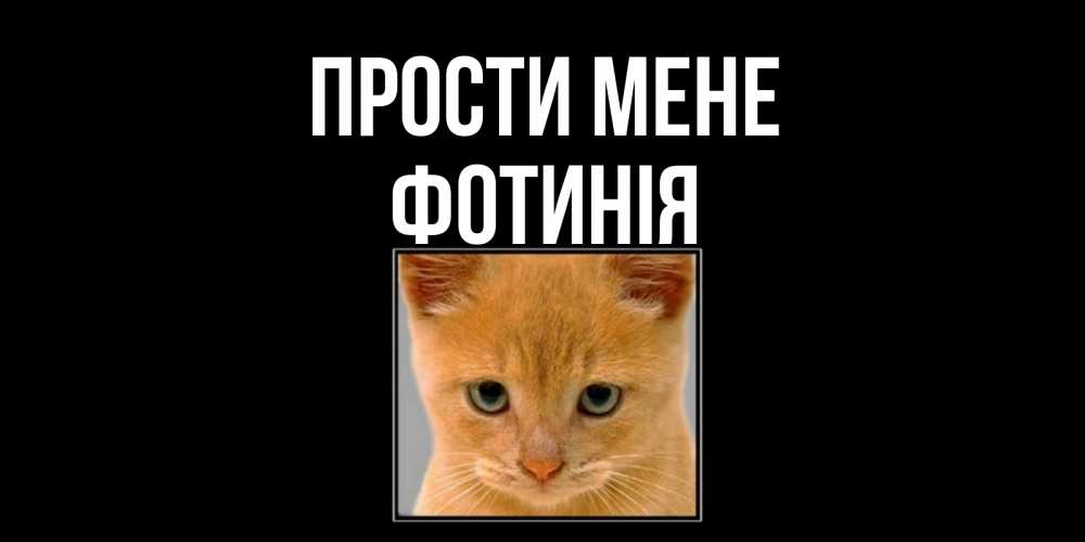 Открытка на каждый день з підписом, Фотинія Прости мене рыжий грустный кот просит прощения Прикольна листівка з побажанням онлайн скачати безкоштовно 