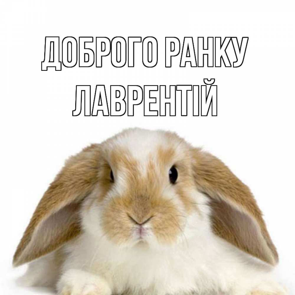 Открытка на каждый день з підписом, Лаврентій Доброго ранку прикольные открытки на каждый день Прикольна листівка з побажанням онлайн скачати безкоштовно 