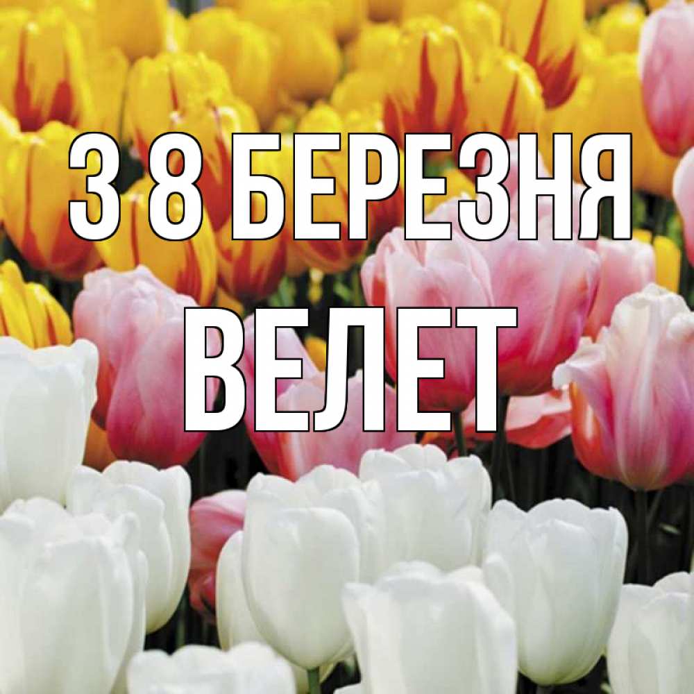 Открытка на каждый день з підписом, Велет З 8 БЕРЕЗНЯ разноцветные цветы Прикольна листівка з побажанням онлайн скачати безкоштовно 