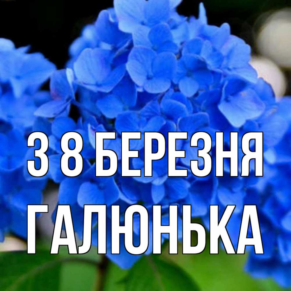 Открытка на каждый день з підписом, Галюнька З 8 БЕРЕЗНЯ синие цветы Прикольна листівка з побажанням онлайн скачати безкоштовно 
