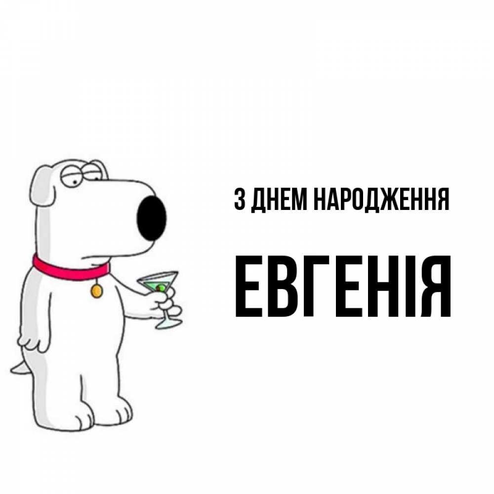 Открытка на каждый день з підписом, Евгенія З Днем народження песик с оливками Прикольна листівка з побажанням онлайн скачати безкоштовно 