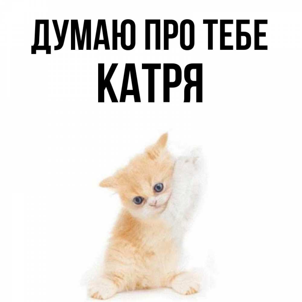 Открытка на каждый день з підписом, Катря Думаю про тебе зверушки и милота Прикольна листівка з побажанням онлайн скачати безкоштовно 