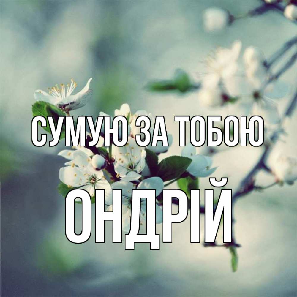Открытка на каждый день з підписом, Ондрій Сумую за тобою весна Прикольна листівка з побажанням онлайн скачати безкоштовно 