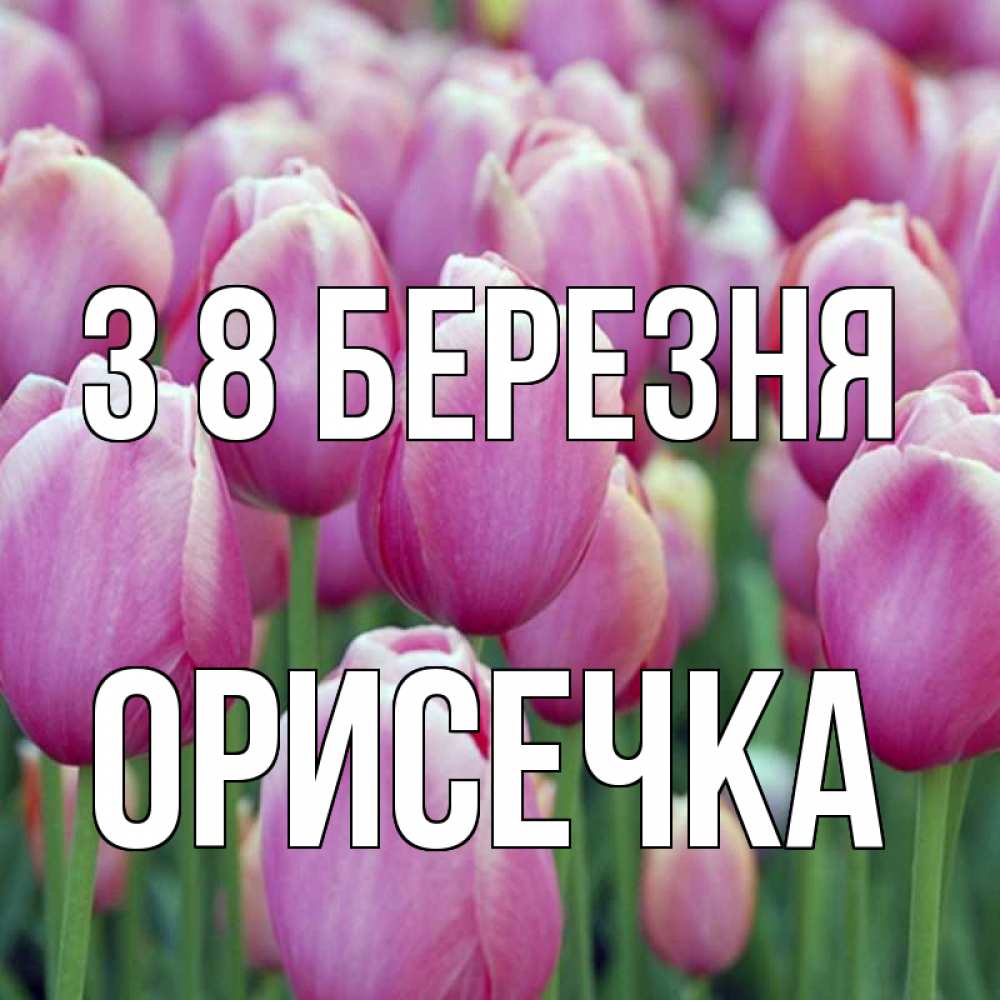 Открытка на каждый день з підписом, Орисечка З 8 БЕРЕЗНЯ на международный женский день 3 Прикольна листівка з побажанням онлайн скачати безкоштовно 