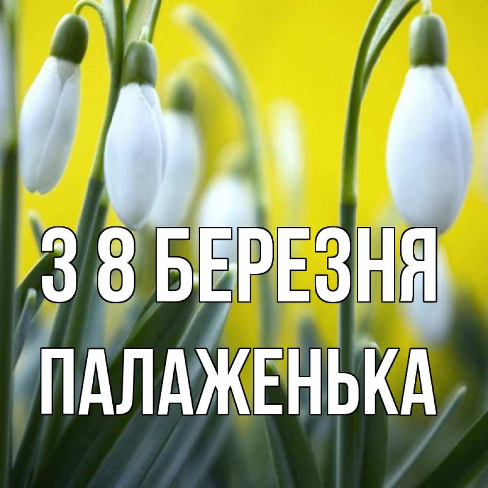 Открытка на каждый день з підписом, Палаженька З 8 БЕРЕЗНЯ весенние цветы Прикольна листівка з побажанням онлайн скачати безкоштовно 