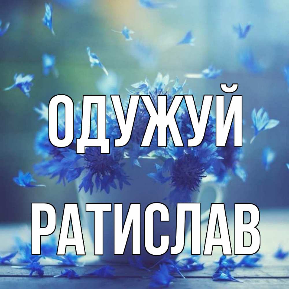 Открытка на каждый день з підписом, Ратислав Одужуй кружка с зельем и цветами Прикольна листівка з побажанням онлайн скачати безкоштовно 