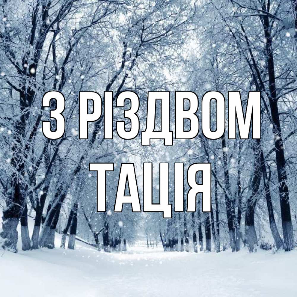 Открытка на каждый день з підписом, Тація З Різдвом снег, лес, парк Прикольна листівка з побажанням онлайн скачати безкоштовно 