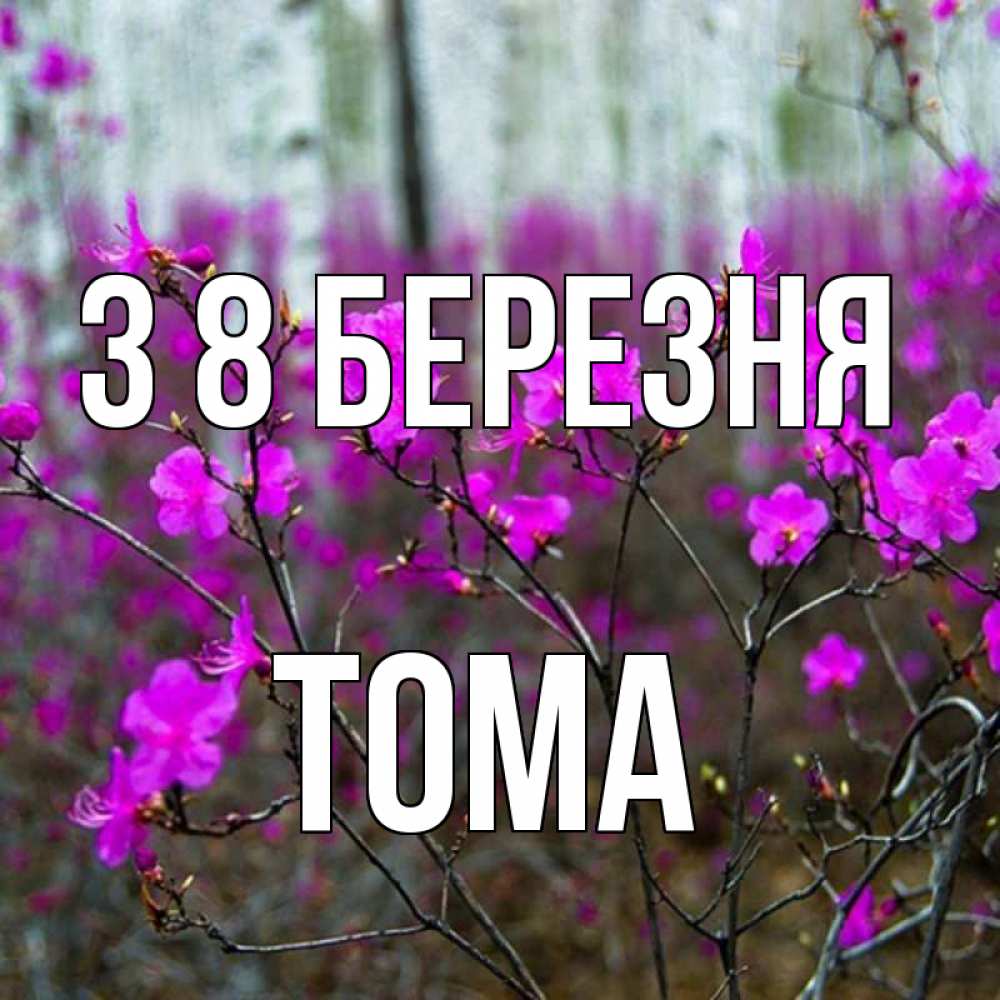 Открытка на каждый день з підписом, Тома З 8 БЕРЕЗНЯ дикие цветы Прикольна листівка з побажанням онлайн скачати безкоштовно 