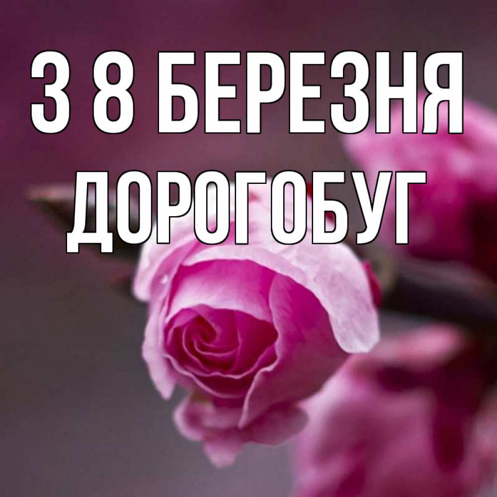 Открытка на каждый день з підписом, Дорогобуг З 8 БЕРЕЗНЯ весна Прикольна листівка з побажанням онлайн скачати безкоштовно 