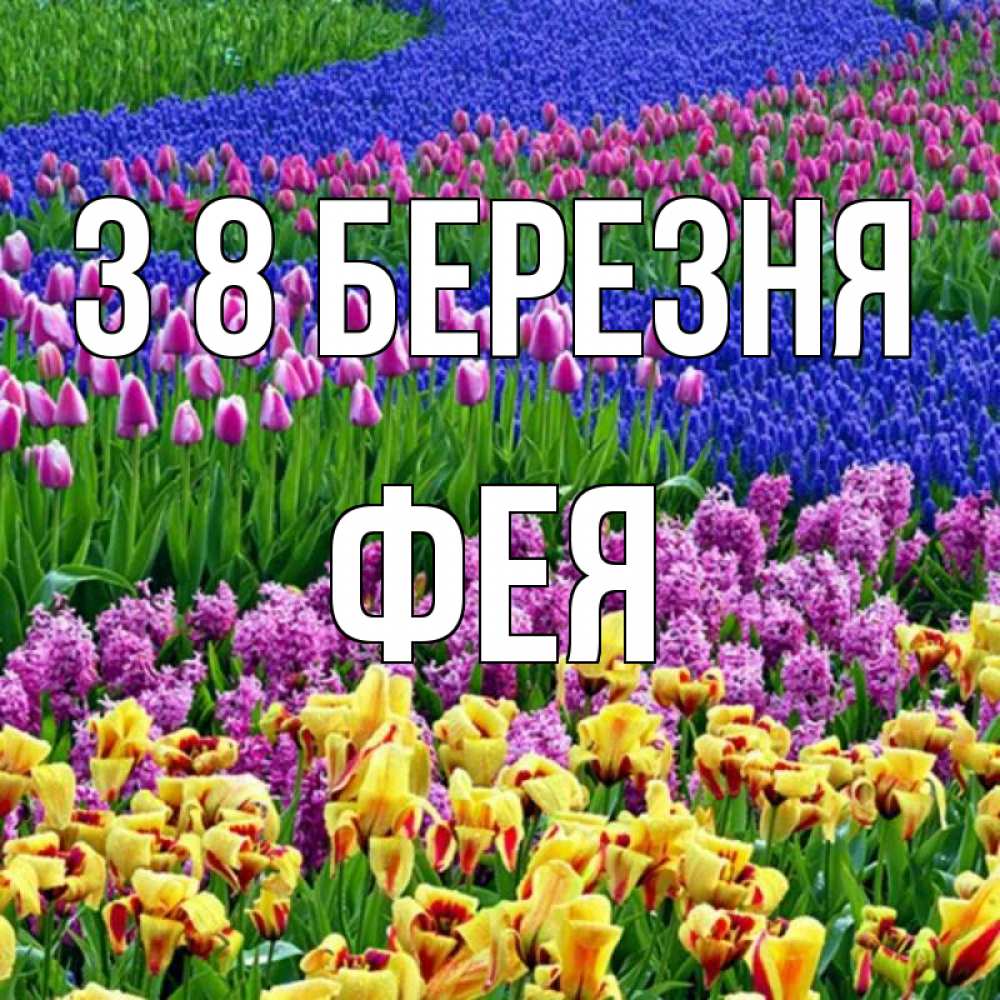 Открытка на каждый день з підписом, Фея З 8 БЕРЕЗНЯ цветы Прикольна листівка з побажанням онлайн скачати безкоштовно 
