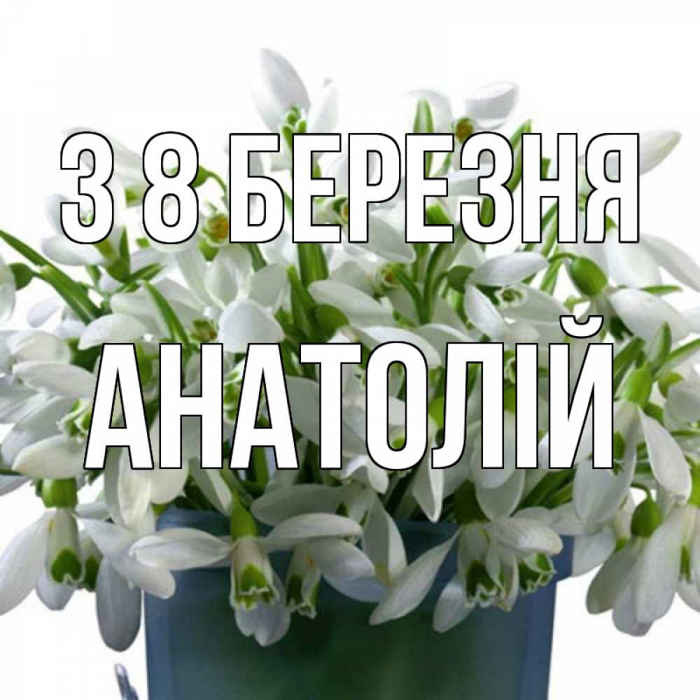 Открытка на каждый день з підписом, Анатолій З 8 БЕРЕЗНЯ цветы к международному женскому дню Прикольна листівка з побажанням онлайн скачати безкоштовно 