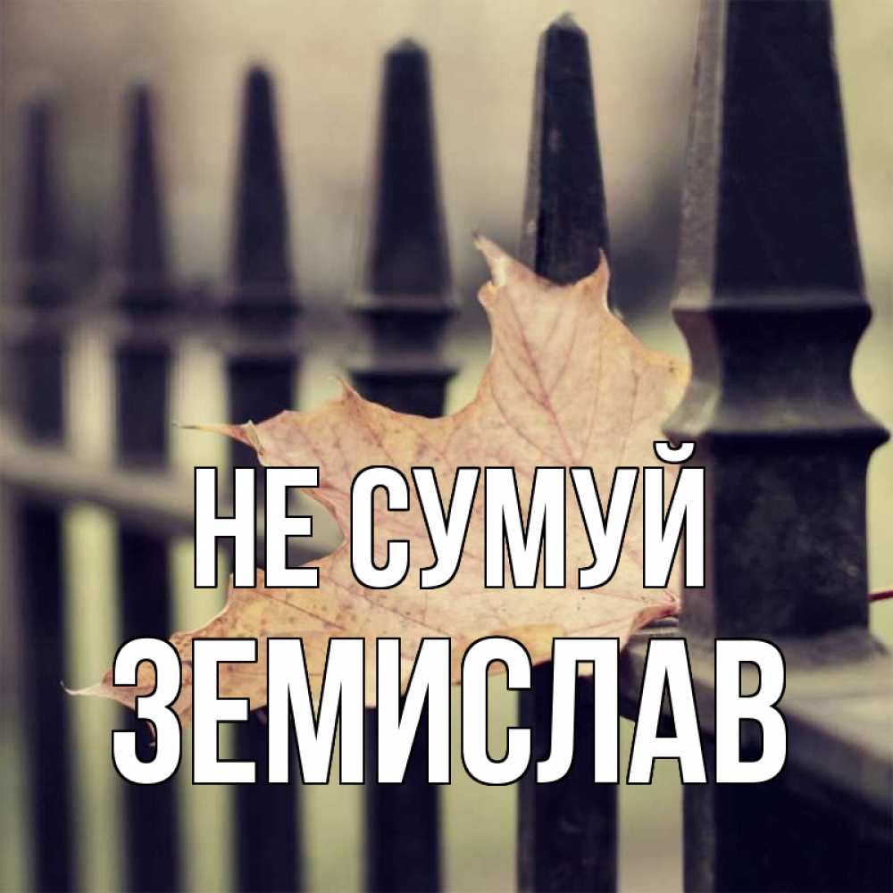 Открытка на каждый день з підписом, Земислав Не сумуй лист клена Прикольна листівка з побажанням онлайн скачати безкоштовно 