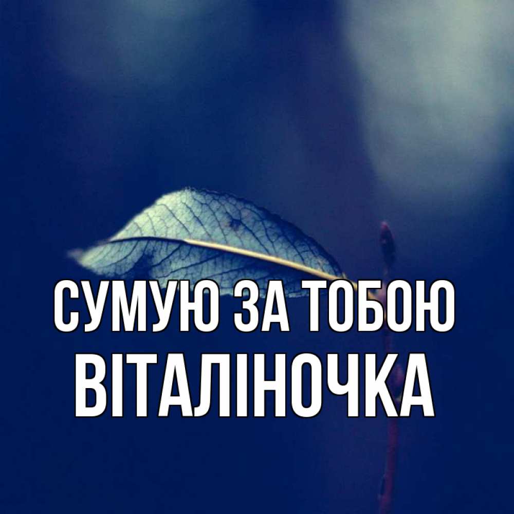 Открытка на каждый день з підписом, Віталіночка Сумую за тобою одна ветка 1 Прикольна листівка з побажанням онлайн скачати безкоштовно 