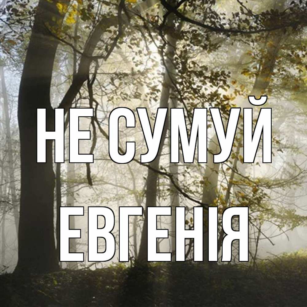 Открытка на каждый день з підписом, Евгенія Не сумуй лес и свет Прикольна листівка з побажанням онлайн скачати безкоштовно 