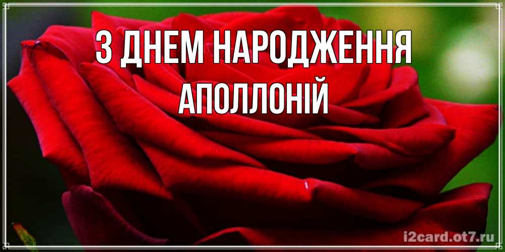 Открытка на каждый день з підписом, Аполлоній З Днем народження розочка очень красивая Прикольна листівка з побажанням онлайн скачати безкоштовно 