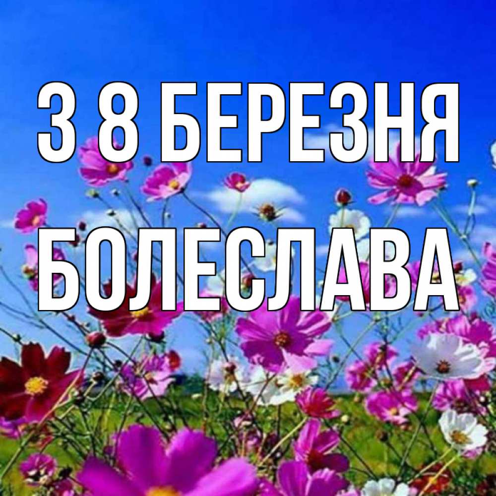 Открытка на каждый день з підписом, Болеслава З 8 БЕРЕЗНЯ цветы Прикольна листівка з побажанням онлайн скачати безкоштовно 