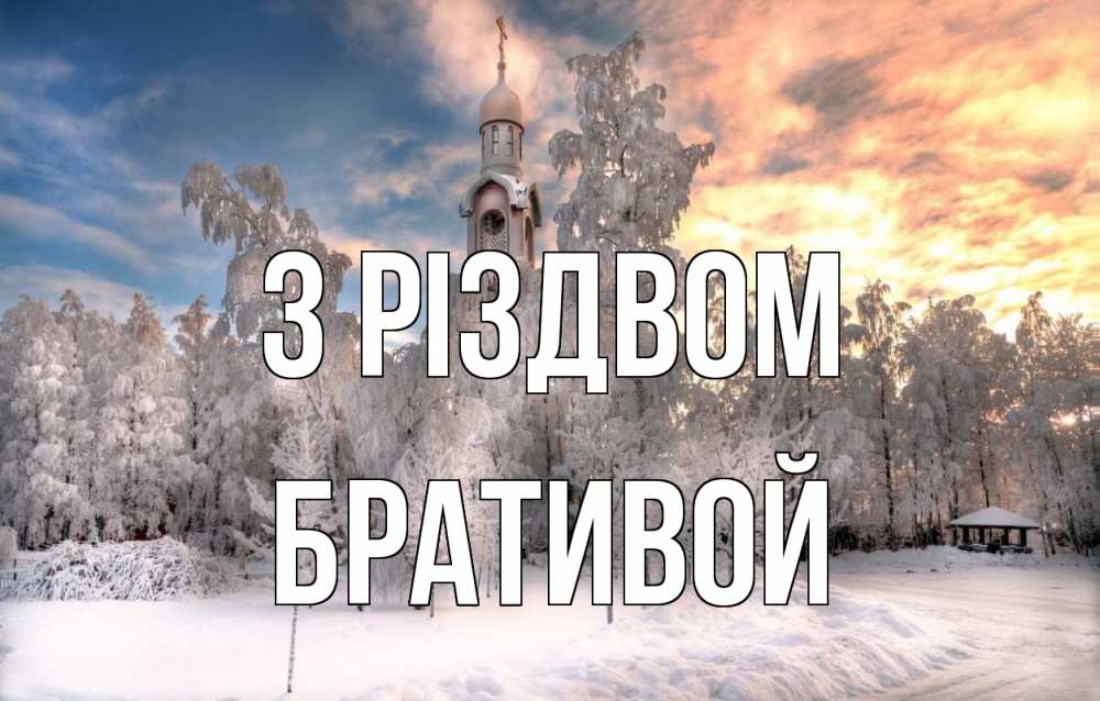 Открытка на каждый день з підписом, Бративой З Різдвом лес, зима 2 Прикольна листівка з побажанням онлайн скачати безкоштовно 