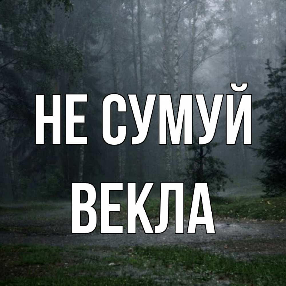 Открытка на каждый день з підписом, Векла Не сумуй осень Прикольна листівка з побажанням онлайн скачати безкоштовно 
