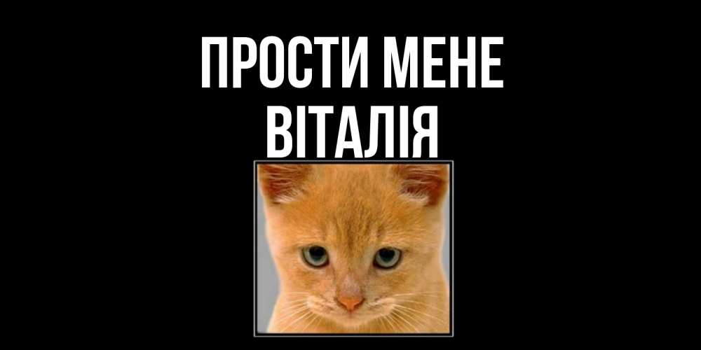Открытка на каждый день з підписом, Віталія Прости мене рыжий грустный кот просит прощения Прикольна листівка з побажанням онлайн скачати безкоштовно 