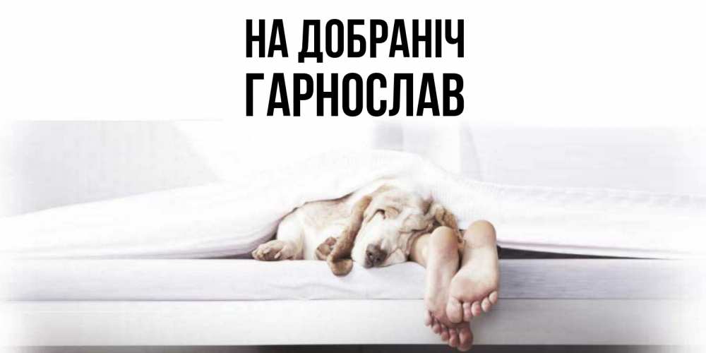Открытка на каждый день з підписом, Гарнослав На добраніч кровать с собакой пожелание сладких снов и спокойной ночи Прикольна листівка з побажанням онлайн скачати безкоштовно 