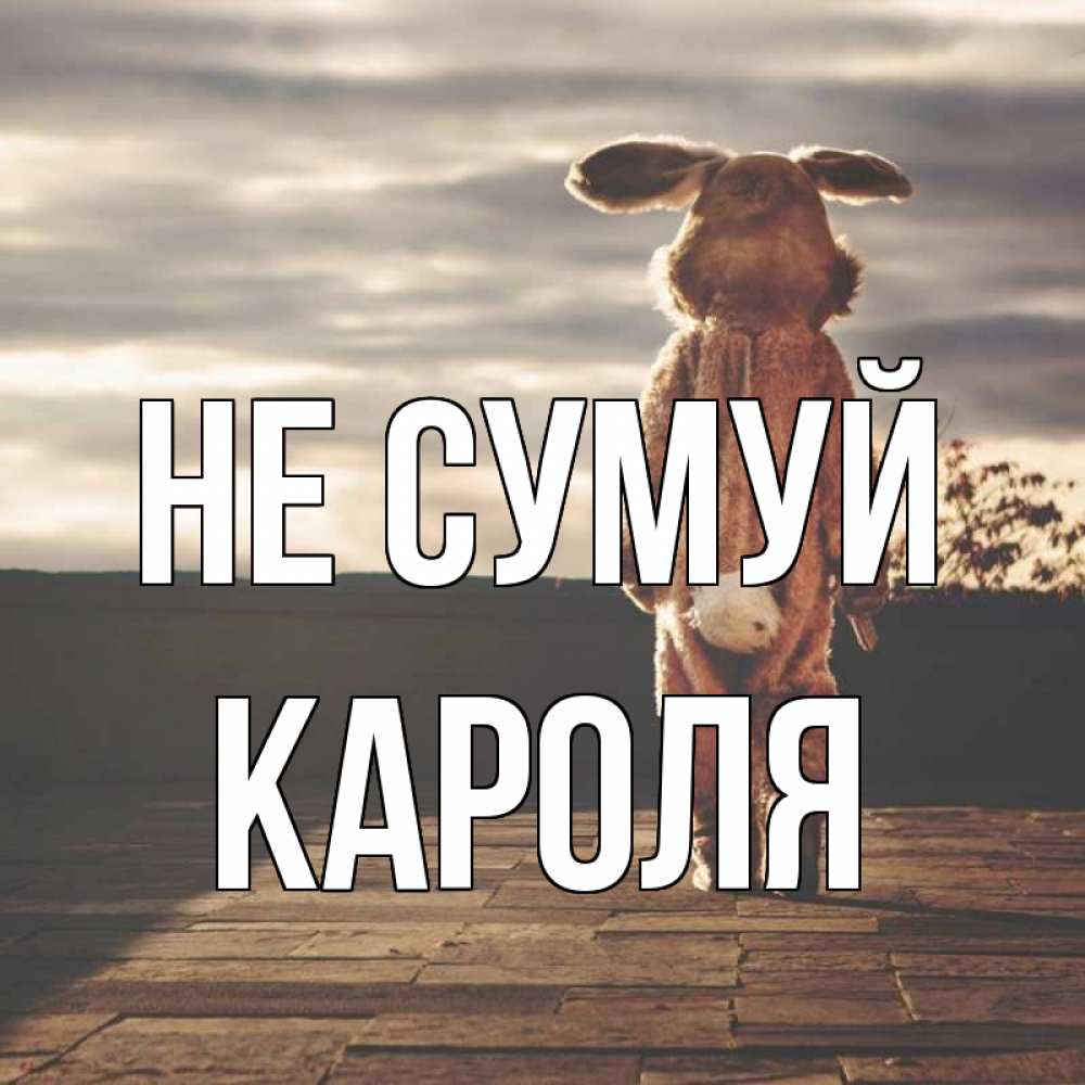 Открытка на каждый день з підписом, Кароля Не сумуй со спины Прикольна листівка з побажанням онлайн скачати безкоштовно 