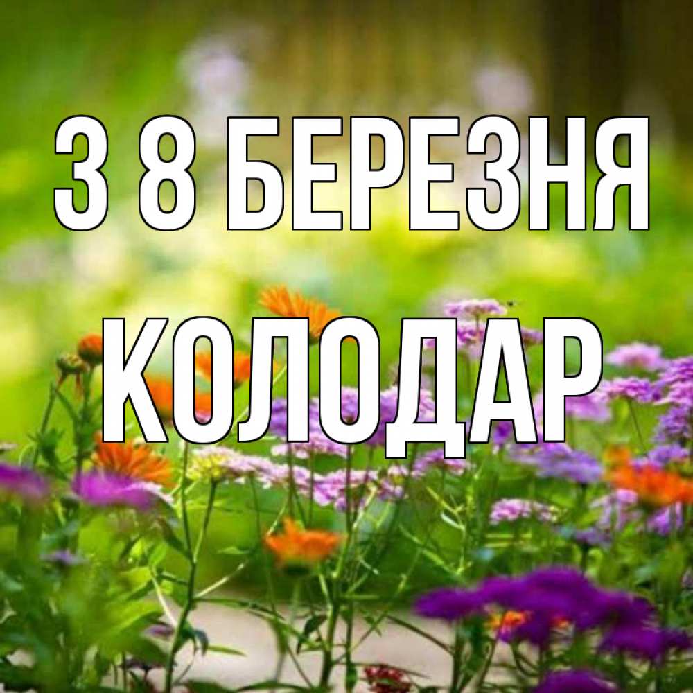 Открытка на каждый день з підписом, Колодар З 8 БЕРЕЗНЯ цветы Прикольна листівка з побажанням онлайн скачати безкоштовно 