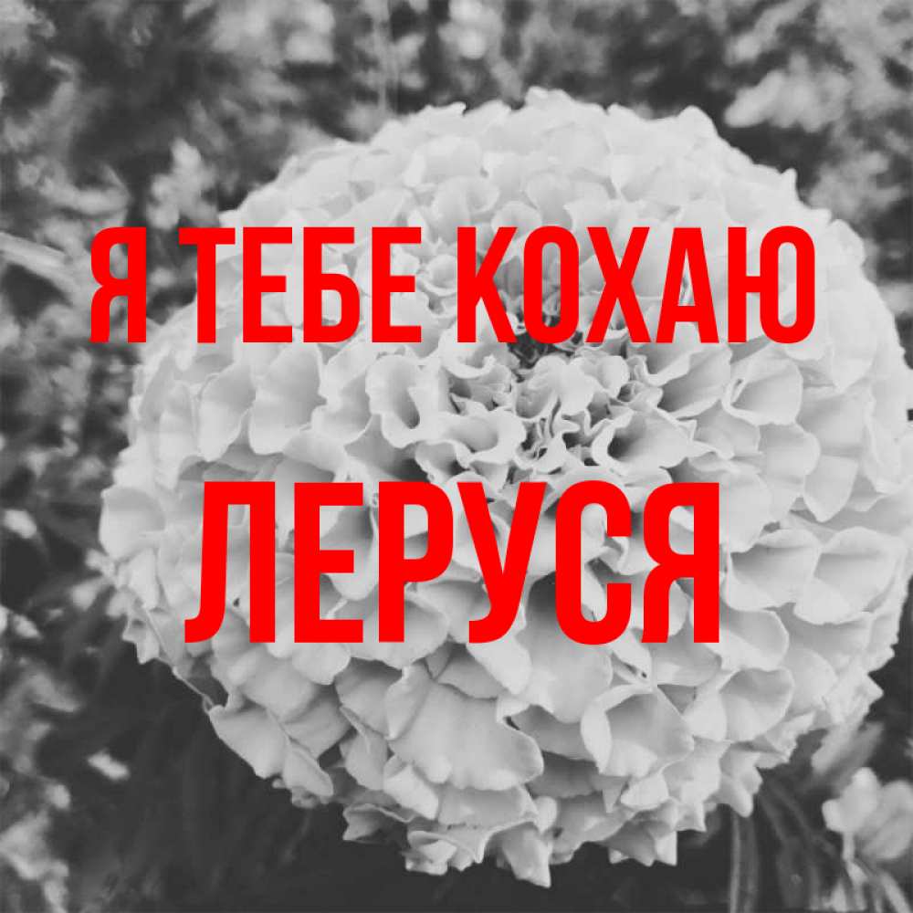 Открытка на каждый день з підписом, Леруся Я тебе кохаю подпись Прикольна листівка з побажанням онлайн скачати безкоштовно 
