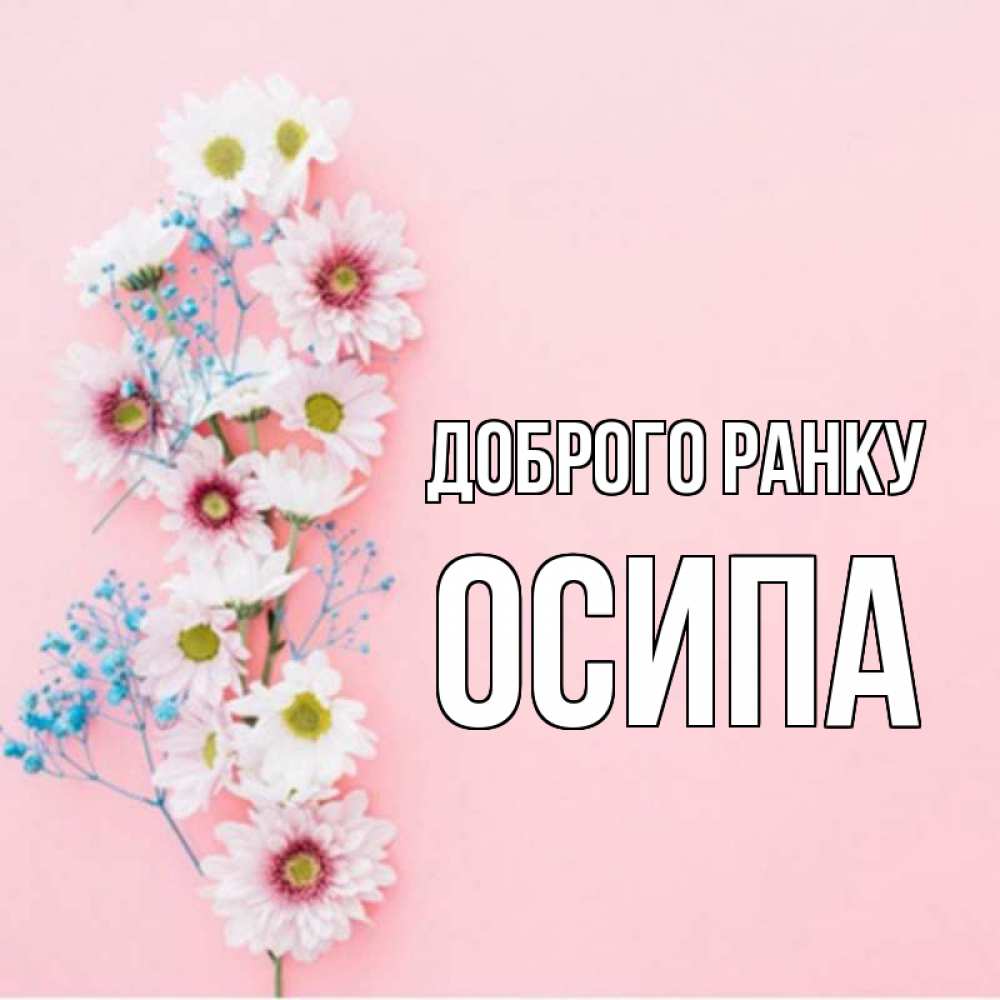 Открытка на каждый день з підписом, Осипа Доброго ранку цветы с подписью Прикольна листівка з побажанням онлайн скачати безкоштовно 
