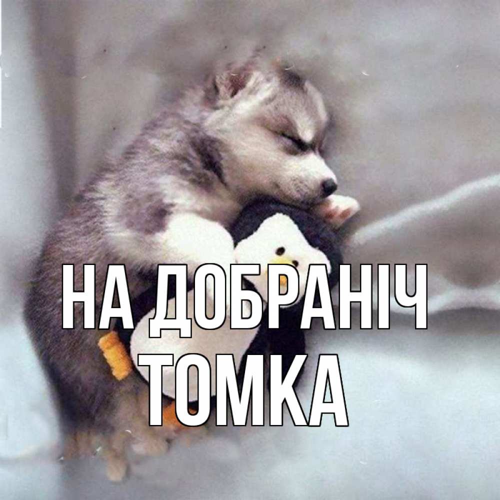 Открытка на каждый день з підписом, Томка На добраніч обнимашки щенка и пингвина Прикольна листівка з побажанням онлайн скачати безкоштовно 