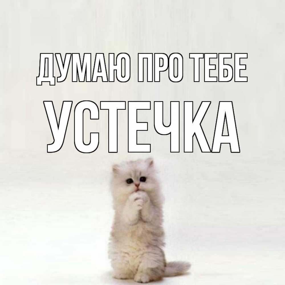 Открытка на каждый день з підписом, Устечка Думаю про тебе кот стоит на задних лапах Прикольна листівка з побажанням онлайн скачати безкоштовно 