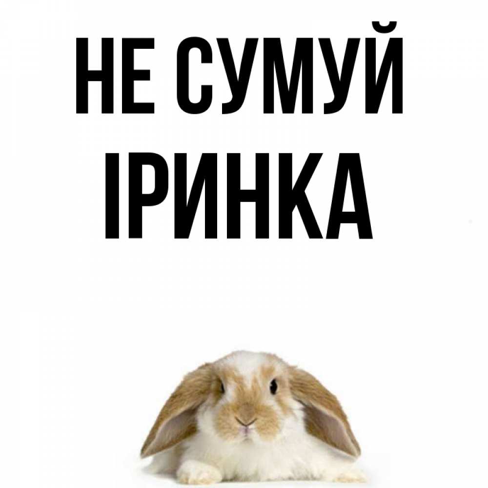 Открытка на каждый день з підписом, Іринка Не сумуй коричнево белый заяц с большими ушками Прикольна листівка з побажанням онлайн скачати безкоштовно 