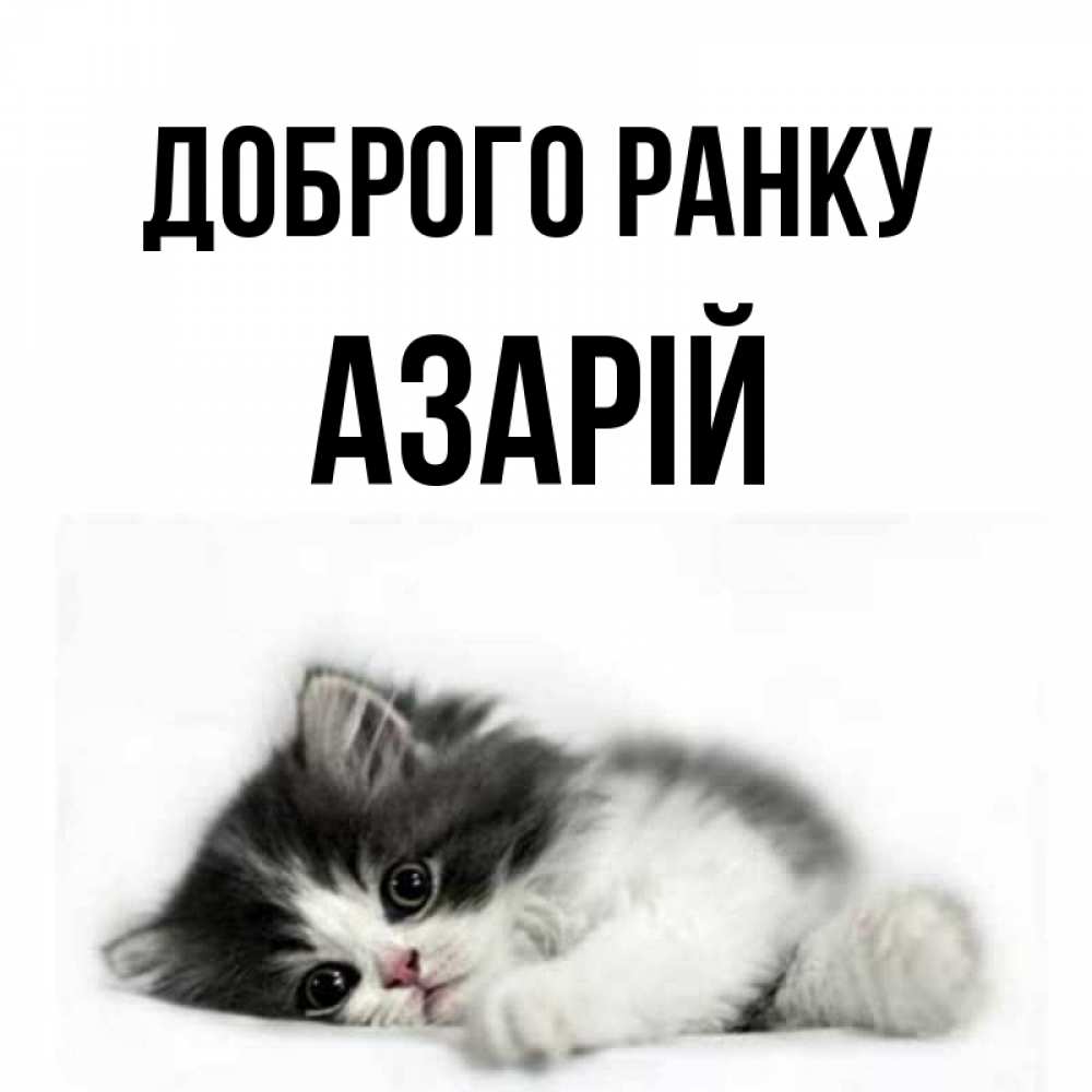 Открытка на каждый день з підписом, Азарій Доброго ранку кот лапки Прикольна листівка з побажанням онлайн скачати безкоштовно 