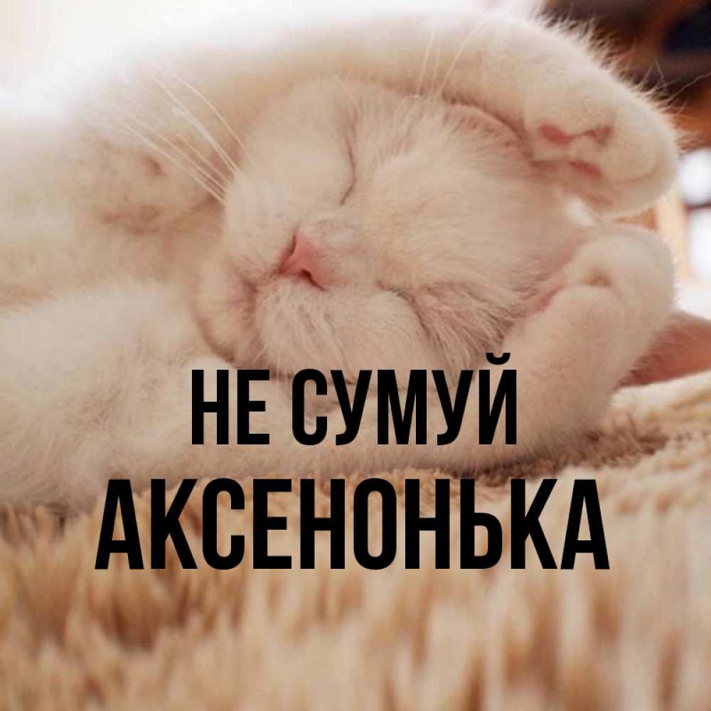 Открытка на каждый день з підписом, Аксенонька Не сумуй Котенок спит Прикольна листівка з побажанням онлайн скачати безкоштовно 