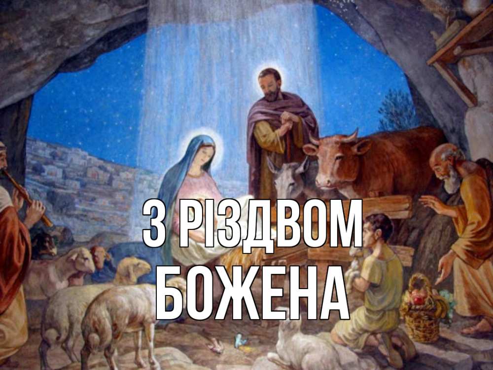 Открытка на каждый день з підписом, Божена З Різдвом Хлев с животными, Иисус, рождество Прикольна листівка з побажанням онлайн скачати безкоштовно 