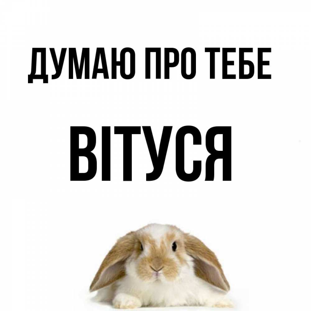 Открытка на каждый день з підписом, Вітуся Думаю про тебе подписать своими руками онлайн Прикольна листівка з побажанням онлайн скачати безкоштовно 