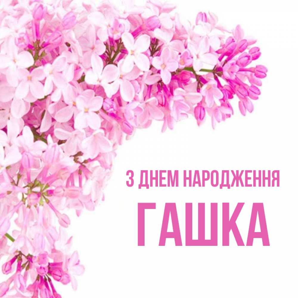 Открытка на каждый день з підписом, Гашка З Днем народження Сирень на белом фоне Прикольна листівка з побажанням онлайн скачати безкоштовно 