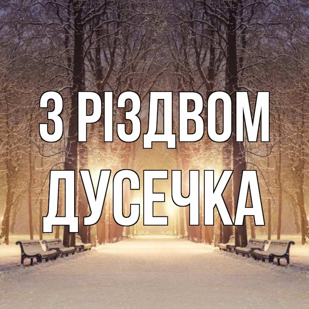 Открытка на каждый день з підписом, Дусечка З Різдвом зима, парк, фонарь, лес Прикольна листівка з побажанням онлайн скачати безкоштовно 
