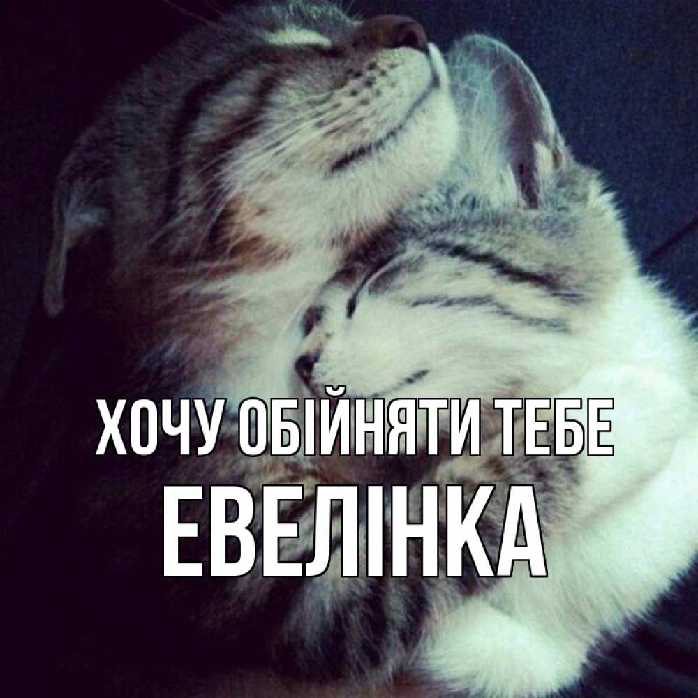 Открытка на каждый день з підписом, Евелінка Хочу обійняти тебе полосатики Прикольна листівка з побажанням онлайн скачати безкоштовно 