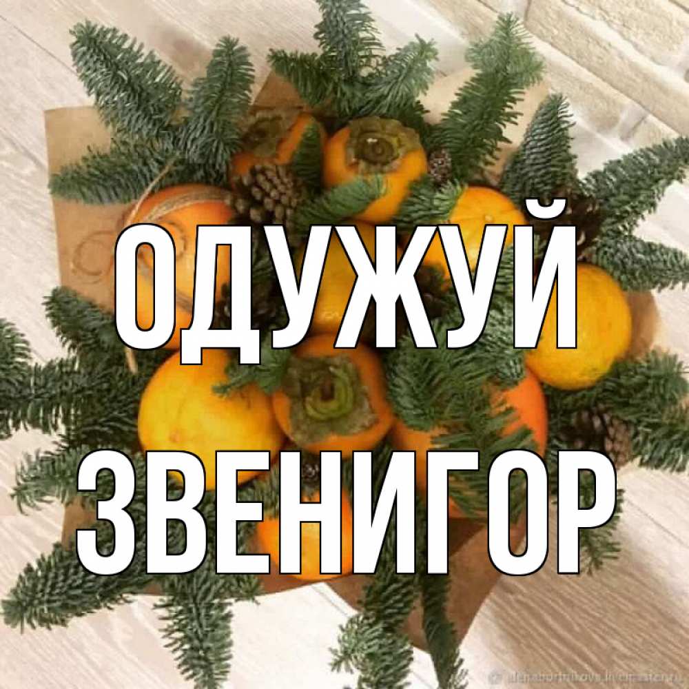 Открытка на каждый день з підписом, Звенигор Одужуй апельсины и хурьма Прикольна листівка з побажанням онлайн скачати безкоштовно 