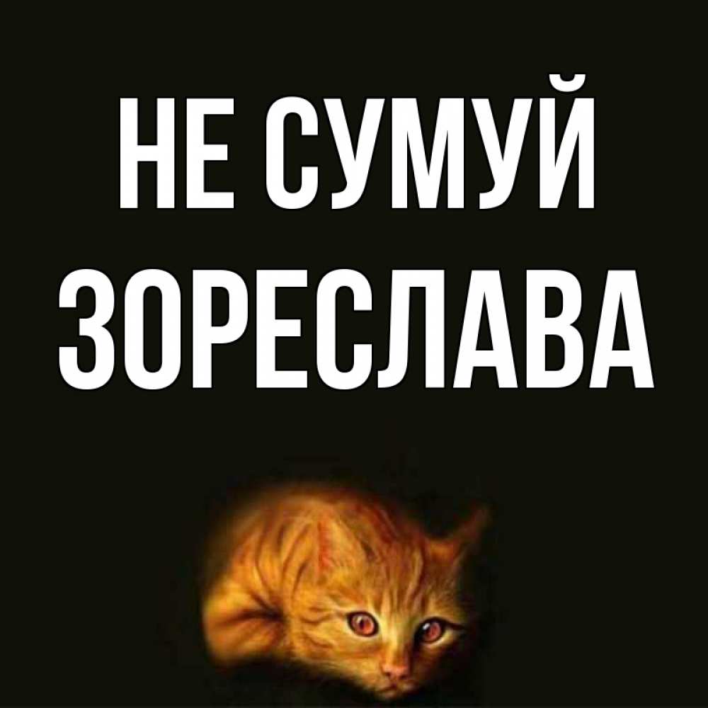 Открытка на каждый день з підписом, Зореслава Не сумуй лежащий кот в темноте Прикольна листівка з побажанням онлайн скачати безкоштовно 