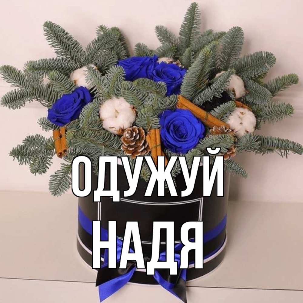 Открытка на каждый день з підписом, Надя Одужуй короче кто то загрузил эти шишки Прикольна листівка з побажанням онлайн скачати безкоштовно 