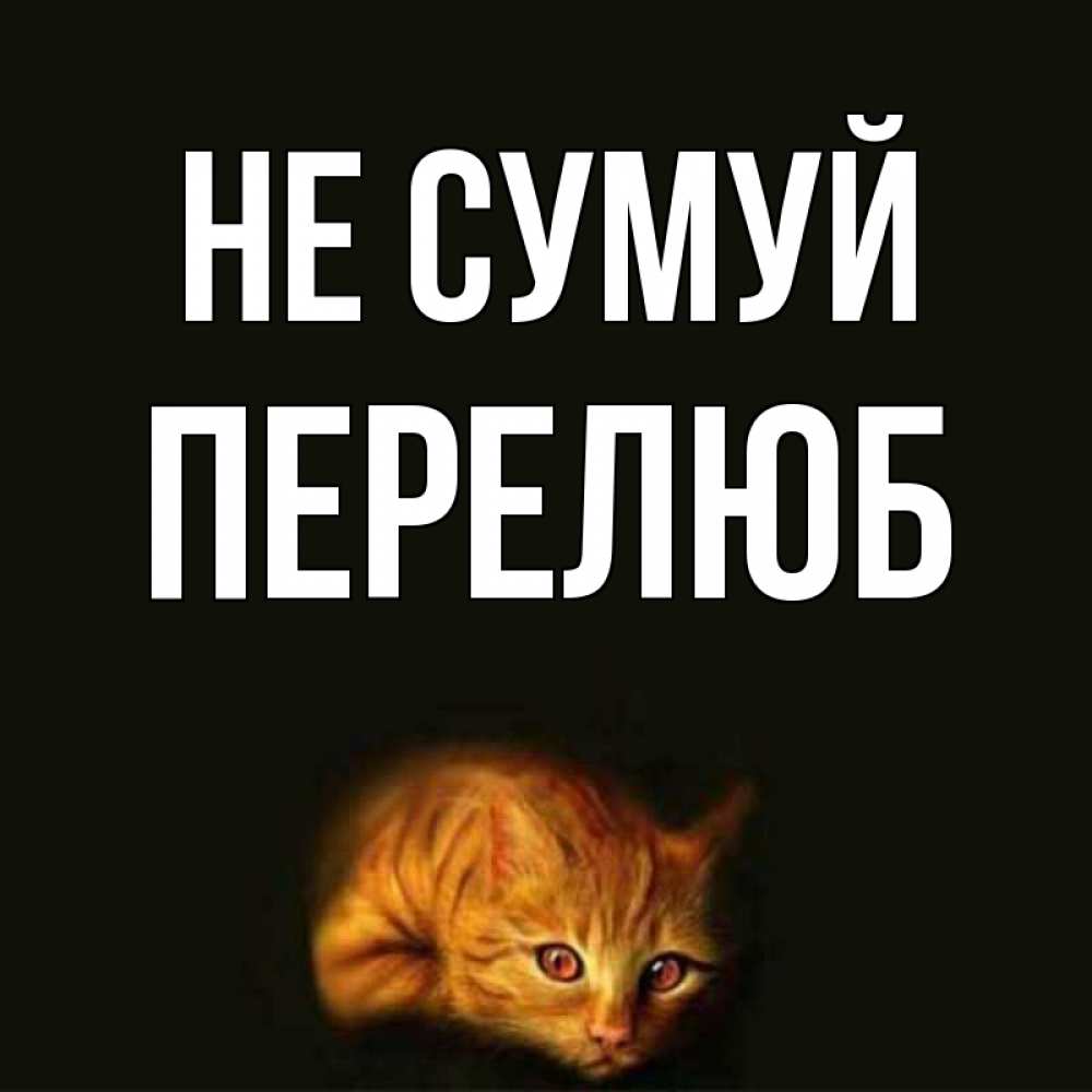 Открытка на каждый день з підписом, Перелюб Не сумуй лежащий кот в темноте Прикольна листівка з побажанням онлайн скачати безкоштовно 